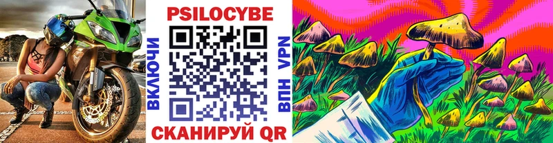 Галлюциногенные грибы Psilocybe  Нурлат 